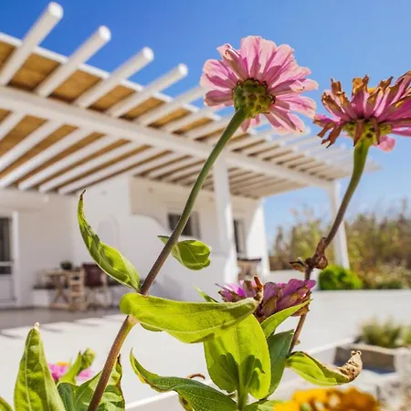 Venus Myconian Residences Kalafati