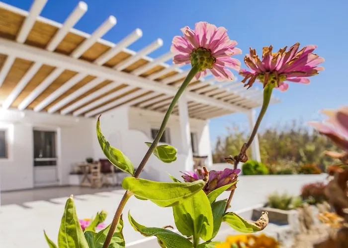 Venus Myconian Residences カラファティス