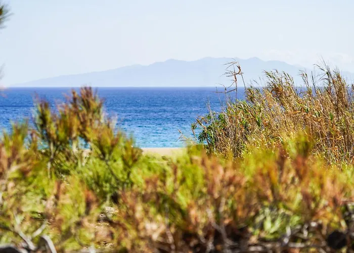 Venus Myconian Residences * 卡拉法蒂斯