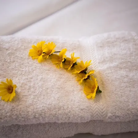 Venus Myconian Residences * Kalafatis